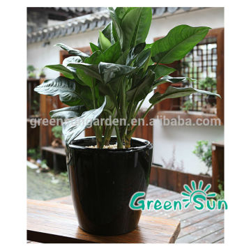 home decor black plant pot made for plastic, self-watering black plant pot