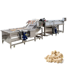 CE Certified Industrial Vegetable Washer for Potatoes, Carrots, Taro, Cassava, Ginger, and Yam