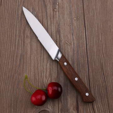 5'' Stainless Steel Steak Knife