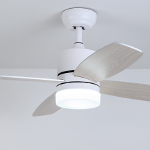 Modern high quality ceiling fan with 4 blades