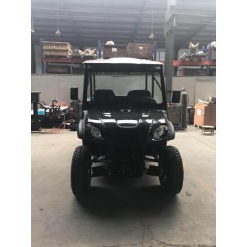 Pure Electric All Terrain Vehicle UTV