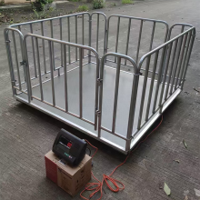 Electronic Weighing Scales: Bench Scales and Floor Scales for Cattle and Animals up to 2000kg