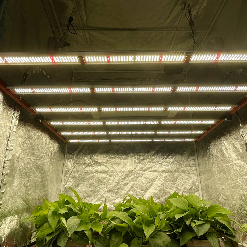 650w İç Mekan Grow Light Samsung LED Yüksek Verimlilik