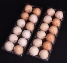 plastic egg packing tray for supermarket 15 holes