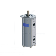 CBTL-F416: 4/4 Dual Gear Oil Pump - Aluminum Alloy Gear Pumps for Efficient Fluid Handling