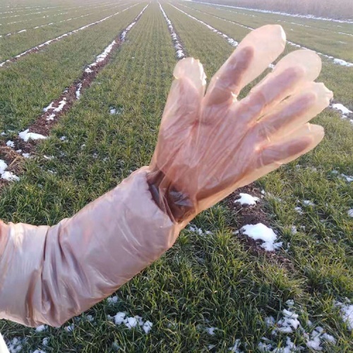 Guantes veterinarios de PE desechables naranjas de brazo largo populares