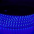 230V LED Light Strip 4000K