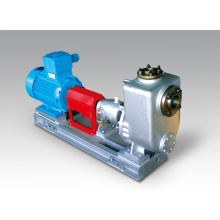 Electric Stainless Steel Horizontal Chemical Self Priming Pump