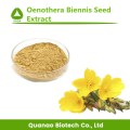 Extrato de prímula noturna / oenothera biennis semente extrato