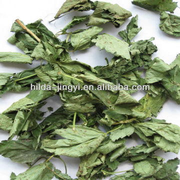 Dried black currant leaves