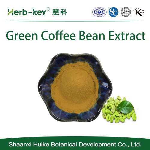 Spot supply chlorogenic acid green coffee bean extract