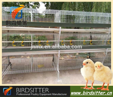 chicken/quail breeding cages with automatic feeding and drinking system