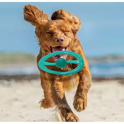 Perro frisbee volando interactivo disco mascota juguetes