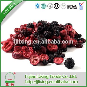 Best quality Cheapest cranberry freeze dried fruit