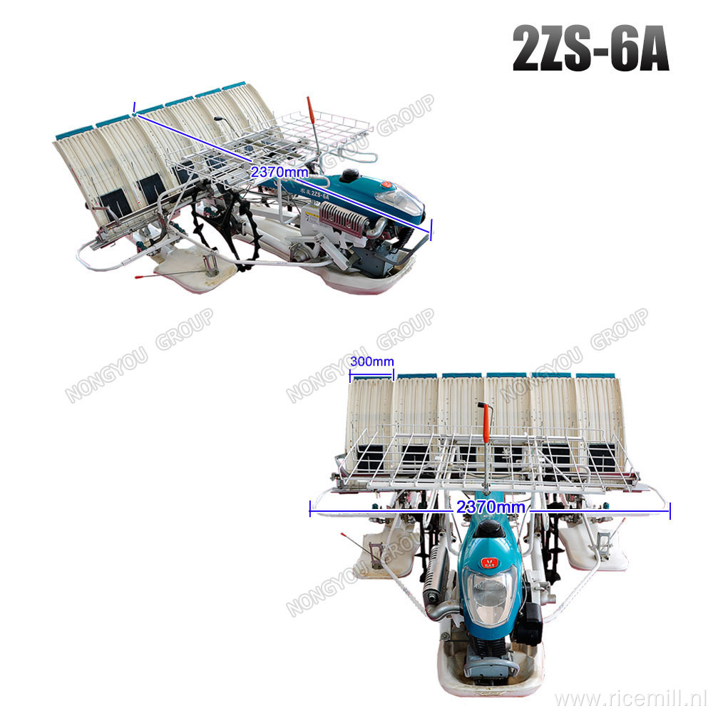 Oem Tray Hand Rice Seedling Transplanter 2ZS-6A