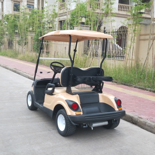 good price 2 seats cheap golf kart sale