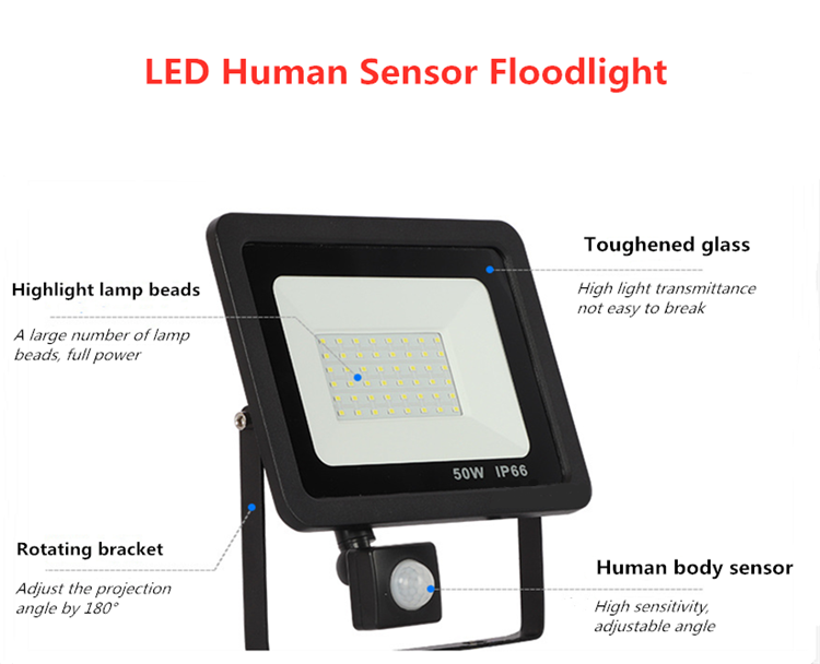 30Watt induction floodlight