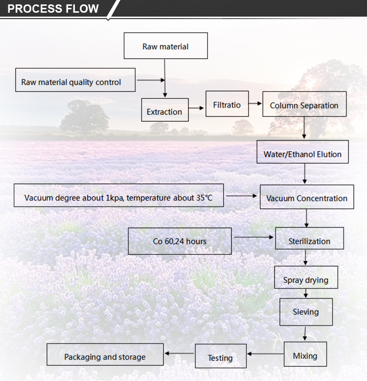 factory supply high quality sea-buckthorn freeze-dried powder sea Buckthorn Fruit Juice Powder