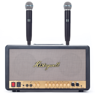 XTUGA MS06 High Quality Guitar Amplifier Combo with Microphones