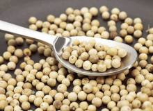 Hot Sale White Pepper Whole