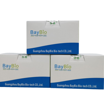 High-yield DNA Extraction Baypure Magnetic Saliva DNA Kit