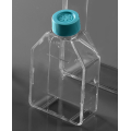 T25 cell culture flasks for adherent cells