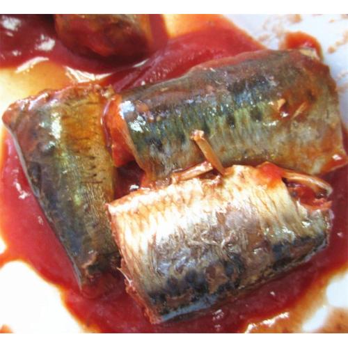 缶詰のピルチャードイワシ魚
