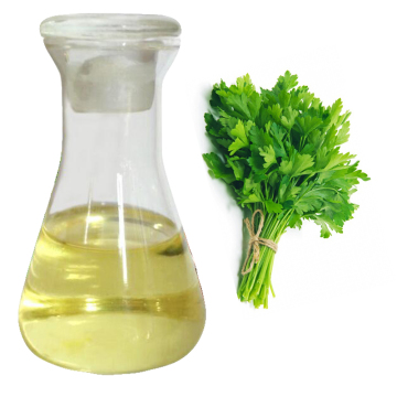 Wholesale Natural Pure Parsley Seed Oil Parsley Herb Oil