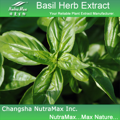 Basil Herb Extract 10: 1, 20% Alkaloids