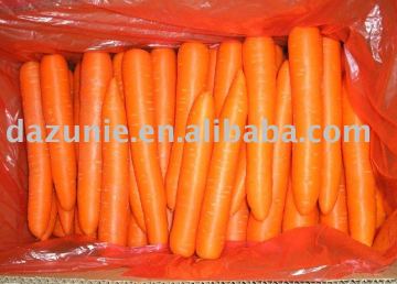 Red Carrot