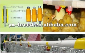 Automatic poultry drinker for chicken breeding