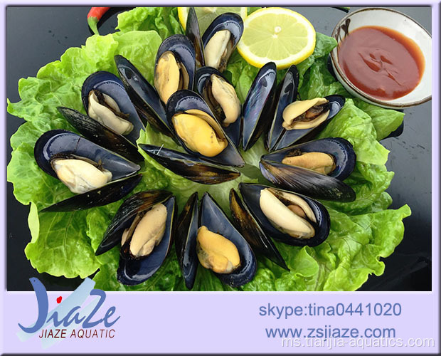 Daging Mussel IQF yang dimasak sepenuhnya atau Setengah Shell