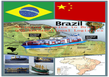 Shipping Agency Fcl / Lcl Sea Freight International Forwarding Shipping Agency Brazil