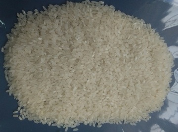 vietnam medium grain white rice