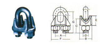 U. S. Type Galv Malleable Wire Rope Clipe