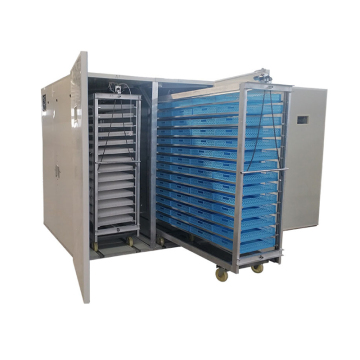 Computer-Controlled 1000 Quail Eggs Incubator for High Hatching Rate