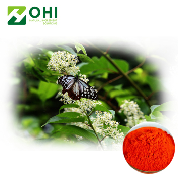 Gotu Kola Extract Powder Centella Asiatica