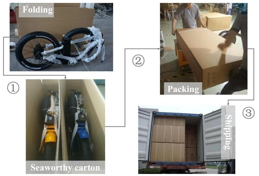 New Style Electric Tricycle for Cargo Delivery