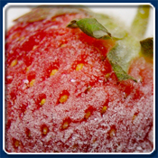 Frozen strawberry