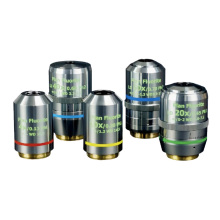 Fluor Ph Objective for Fluorescent Phase Contrast Biology
