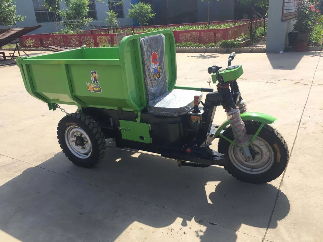 2018 Popular 48V 1000W Electric Tricycle