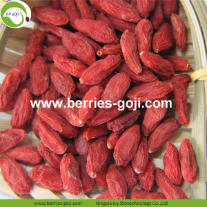 Sexual Strength Natural Fuits Conventional Goji Berry