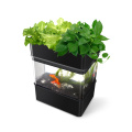 Water Garden Aquarium Plant Aquaponics