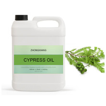 100% Pure Cypress Oil Spanish Natural Cypress Oil at wholesale price Wholesaler of natural Cypress Essential Oil