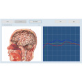 biofeedback mesin terapi perangkat lunak Vektor Rusia V16