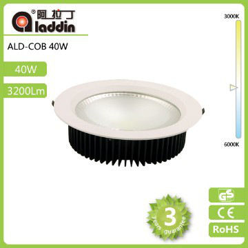 3000lm 40W 8 inch led down light