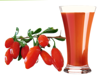 Natural healthy Original Goji wolfberry Juice