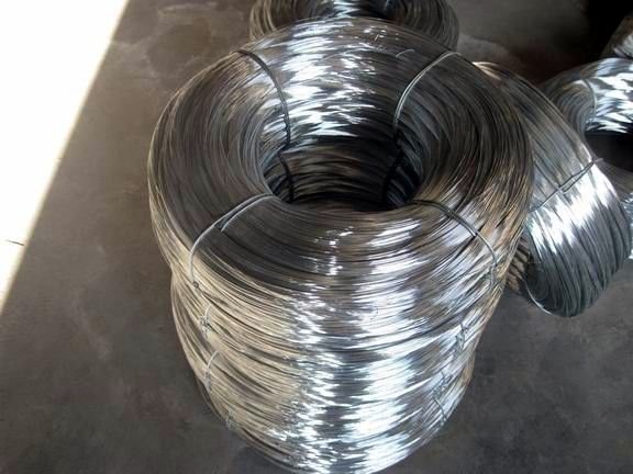 Factory High Quality Electro Galvanized Binding Wire in Competitive Price