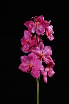 artificial vanda orchid