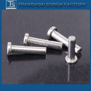 Perfect Polished SUS 304 Flat Head Solid Pins